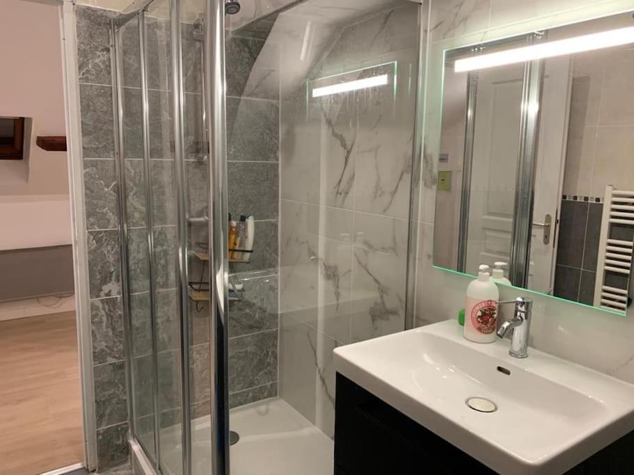 Appartement De Charme - 41M² Rosny-sur-Seine Dış mekan fotoğraf